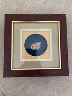 Set van 2 ingelijste zeeschelpen, Huis en Inrichting, Woonaccessoires | Lijsten, Ophalen of Verzenden, Zo goed als nieuw, Hout