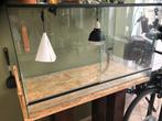 Terrarium, Ophalen, Zo goed als nieuw