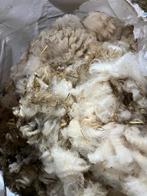 Schapenwol, Dieren en Toebehoren