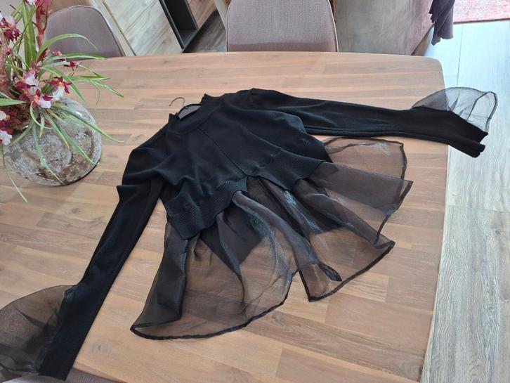 Prachtige zwarte trui afgewerkt met tule mesh maat 40 42, Kleding | Dames, Truien en Vesten, Zo goed als nieuw, Maat 42/44 (L)