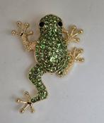 Nieuwe groene kikker broche, Sieraden, Tassen en Uiterlijk, Broches, Overige materialen, Minder dan 4 cm, Nieuw, Ophalen of Verzenden