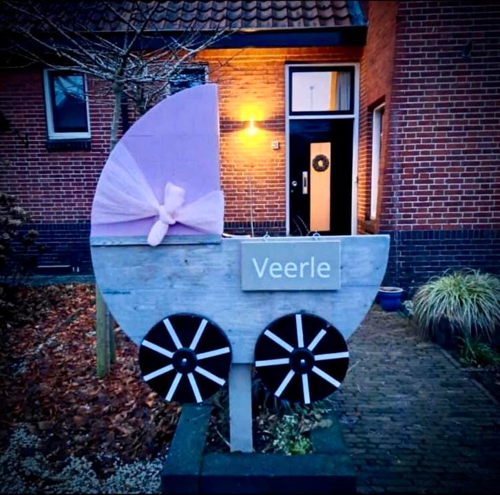 Te huur steigerhouten geboortewieg, Kinderen en Baby's, Kraamcadeaus en Geboorteborden, Zo goed als nieuw, Geboortebord, Ophalen
