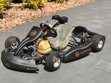Nette parolin kart met Honda GX200 beschikbaar voor biedingen