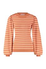 ZGAN! Mooie Studio Anneloes Luna stripe pullover maat L!, Kleding | Dames, Studio Anneloes, Ophalen of Verzenden, Zo goed als nieuw