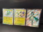 Pokémon Promo Set - Sprigatito, Floragatto, Meowscarada, Ophalen of Verzenden, Zo goed als nieuw, Meerdere kaarten, Foil