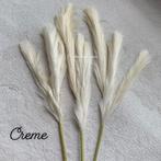 PAMPAS VEREN PLUIM ERIC KUSTER MEGA UITVERKOOP ALLE KLEUREN, Huis en Inrichting, Ophalen, Zo goed als nieuw