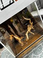 Terrarium, Ophalen, Zo goed als nieuw