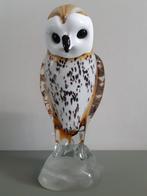 Glazen (kerk)uil op voet, Ophalen, Nieuw, Dier