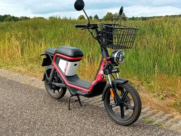 AGM E scooter Goccia snor scooter beschikbaar voor biedingen