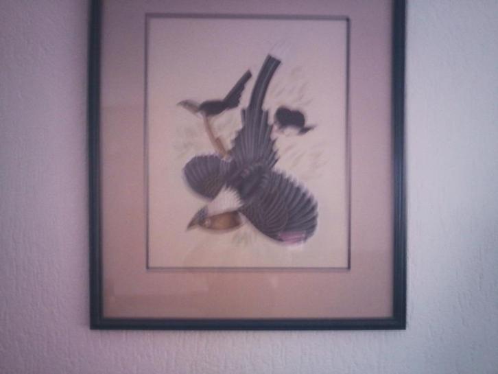 Schilderij japans op zijde geschilderd met mooie lijst 55x66, Antiek en Kunst, Kunst | Schilderijen | Klassiek, Ophalen of Verzenden