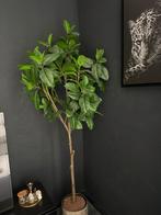 IKEA Fejka Kunstplant - Realistisch en Onderhoudsvrij, Overige soorten, In pot, Minder dan 100 cm, Groene kamerplant