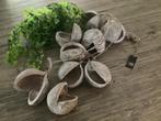 NIEUW hele forse PTMD gedroogde coconut hanger, Ophalen of Verzenden, Nieuw