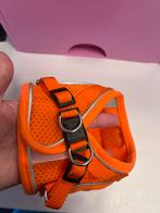 Tuigje voor kitten xs, Dieren en Toebehoren, Katten-accessoires, Ophalen of Verzenden, Nieuw