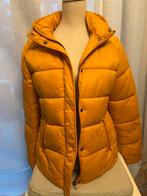 Winterjas dames met dons., Kleding | Dames, Jassen | Winter, Nieuw, Maat 38/40 (M), Ophalen of Verzenden, America Today