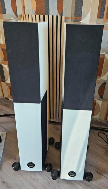 Audio Physic Avantera III  beschikbaar voor biedingen