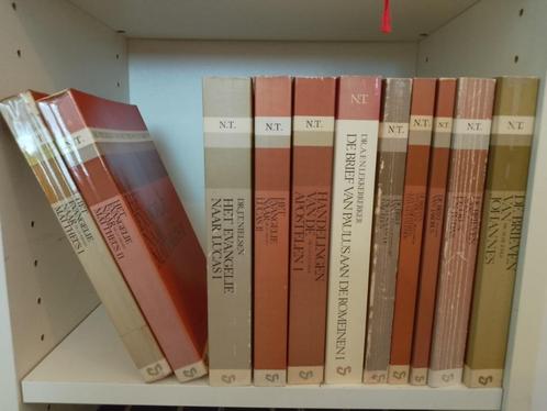 De prediking van het Nieuwe Testament, Boeken, Godsdienst en Theologie, Gelezen, Christendom | Protestants, Verzenden