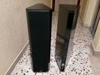 Design & kawaliteit DRIADE made in Holland, Zo goed als nieuw, 60 tot 120 watt, Front, Rear of Stereo speakers, Ophalen