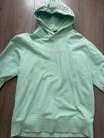 Stoere mintgroene trui, Ophalen of Verzenden, Zo goed als nieuw, Maat 52/54 (L), Groen