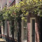 Gezocht: huurhuis in Leeuwarden