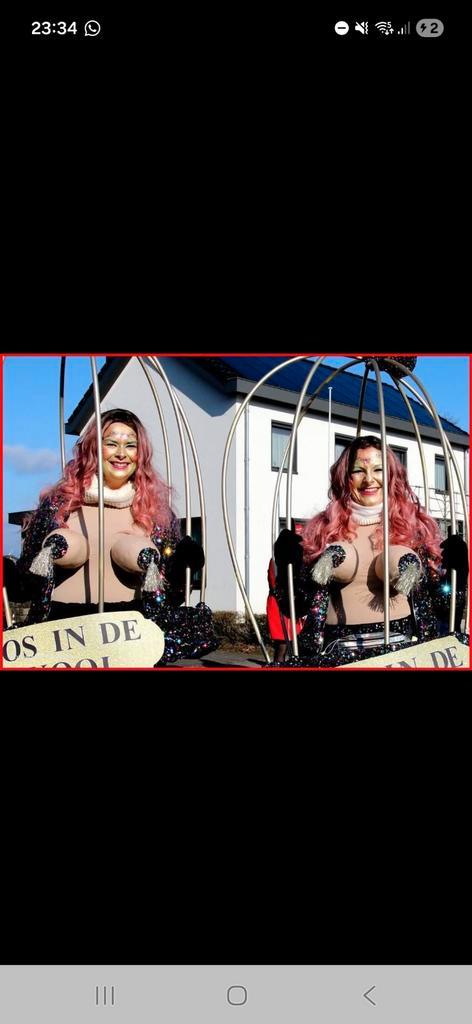 Duo Loopgroep Carnaval Kostuum, Kleding | Dames, Carnavalskleding en Feestkleding, Zo goed als nieuw, Kleding, Carnaval, Maat 38/40 (M)