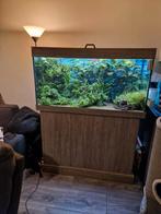 Gratis Compleet Aquarium aangeboden, Ophalen, Gebruikt, Gevuld zoetwateraquarium