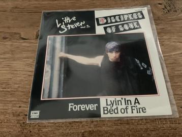 Little Steven and the Disciples of Soul, Forever beschikbaar voor biedingen