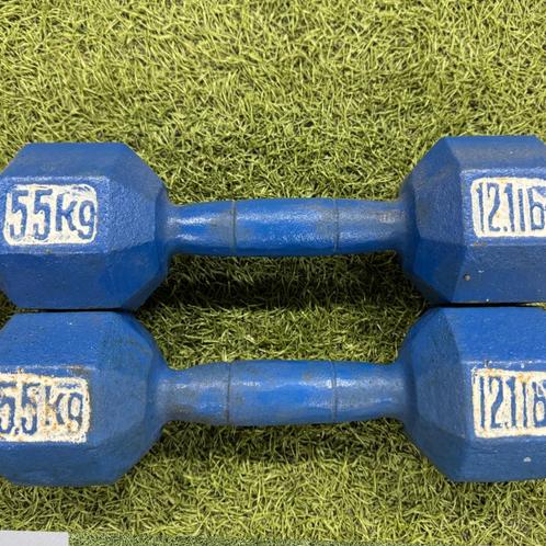 Old school en vintage Neo Hex Dumbbell Paar - 2 x 5.5 kg, Sport en Fitness, Fitnessmaterialen, Gebruikt, Dumbbell, Armen, Benen