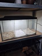 Kweek aquarium 60 cm, Ophalen, Zo goed als nieuw, Leeg aquarium