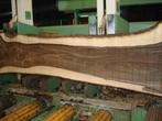 NOTENHOUT-PEREN -KERSEN-ESDOORN--LINDE--TAXUS, Ophalen, 25 tot 50 mm, Nieuw, Plank