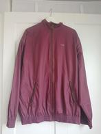 Cavello jasje nieuw., Kleding | Heren, Ophalen of Verzenden, Nieuw