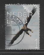 2020, Roofvogels en Uilen, Zeearend [3821] (K2132), Postzegels en Munten, Postzegels | Nederland, Ophalen of Verzenden