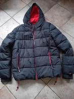 Gewatteerde Superdry winterjas maat XL, Blauw, Maat 56/58 (XL), Ophalen of Verzenden, Gedragen