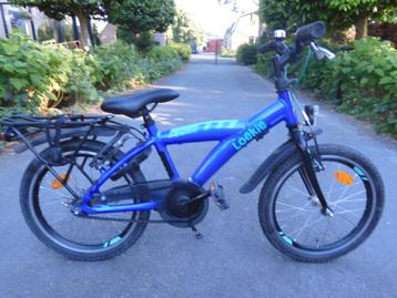 1 jaar oude blauwe 18 inch Loekie Snake te koop beschikbaar voor biedingen