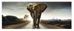 Olifant op Weg - Foto/Poster, Huis en Inrichting, Woonaccessoires | Schilderijen, Tekeningen en Foto's, Ophalen, Nieuw, 75 tot 100 cm