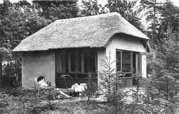 (381-054-045) Doorn Het Grote Bos beschikbaar voor biedingen