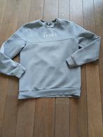 Sweater van Daily Aesthetikz mt M, Kleding | Heren, Truien en Vesten, Ophalen of Verzenden, Zo goed als nieuw, Grijs