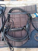 Passier Taurus stang en trens hoofdstel - Full, Ophalen of Verzenden, Nieuw, Dressuur