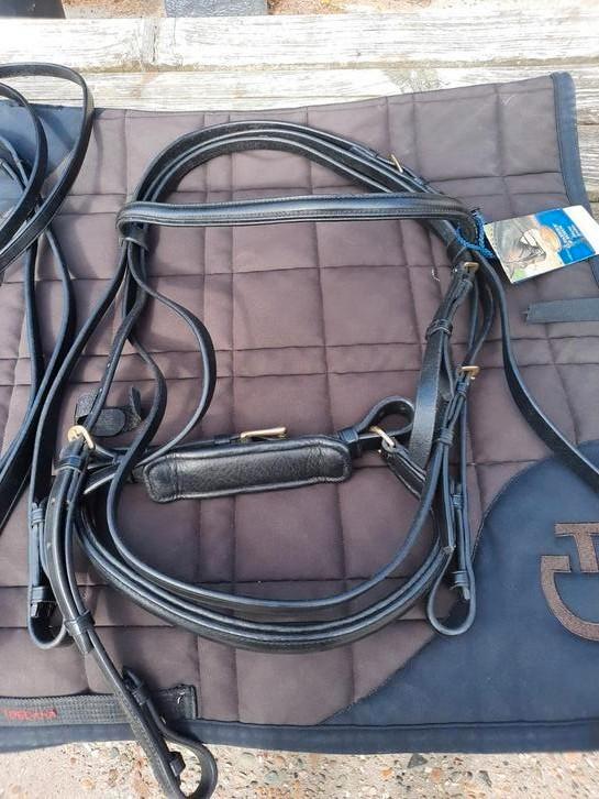 Passier Taurus stang en trens hoofdstel - Full, Dieren en Toebehoren, Paarden en Pony's | Hoofdstellen en Tuigage, Nieuw, Dressuur