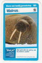 Super dieren no.21 Walrus [2687]  [VeOvSu], Ophalen of Verzenden, Albert Heijn