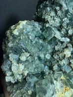 Blauwe fluoriet, Ophalen of Verzenden