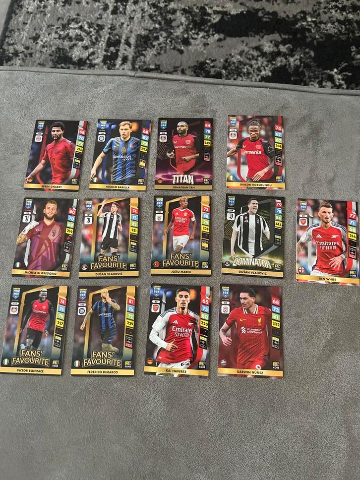 FIFA Panini Voetbalkaarten - Diverse, Verzamelen, Sportartikelen en Voetbal, Gebruikt, Spelerskaart, Overige sporten, Ophalen of Verzenden