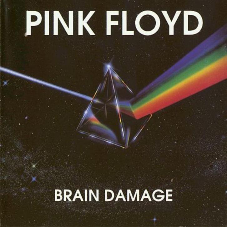 Pink Floyd – Brain Damage (CD), Cd's en Dvd's, Cd's | Rock, Gebruikt, Progressive, Ophalen of Verzenden
