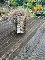 Bloempot sokkel, ca. 100cm hoog, Ophalen, Gebruikt, Balkon, 40 cm of meer