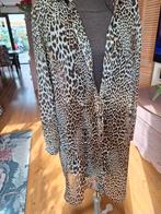 Voile blouse l xl crème de la crème, Kleding | Dames, Ophalen of Verzenden, Zo goed als nieuw, Maat 46/48 (XL) of groter, Beige