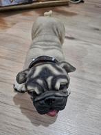 Franse Bully, Ophalen, Zo goed als nieuw, Dier