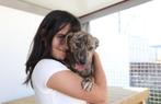Waar mag deze leuke pup Milli komen wonen?, Dieren en Toebehoren, Honden | Niet-rashonden, Particulier, Rabiës (hondsdolheid)