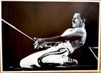 Poster Freddie Mercury On Stage. Groot Formaat, Ophalen of Verzenden, Zo goed als nieuw, Foto of Kaart