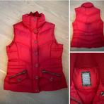 Esprit bodywarmer rood, maat L (XL label), Maat 42/44 (L), Ophalen of Verzenden, Zo goed als nieuw, Rood