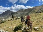 Paardrijvakantie Zuid Frankrijk Hooggebergte in de Pyreneeën