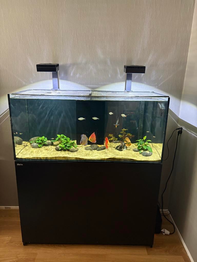 Redsea 350 v3, Dieren en Toebehoren, Vissen | Aquaria en Toebehoren, Zo goed als nieuw, Verlichting of Verwarming, Ophalen